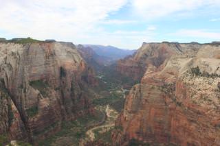 zion thumb